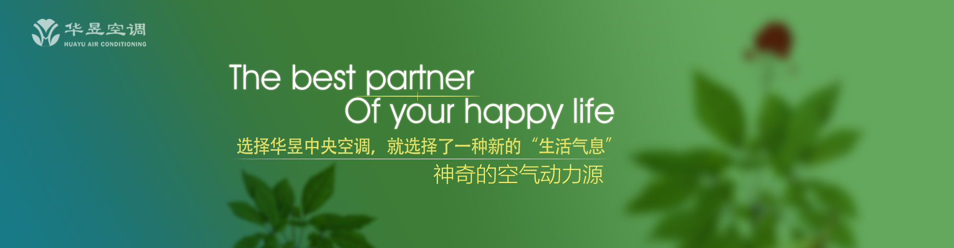 盖世无双网